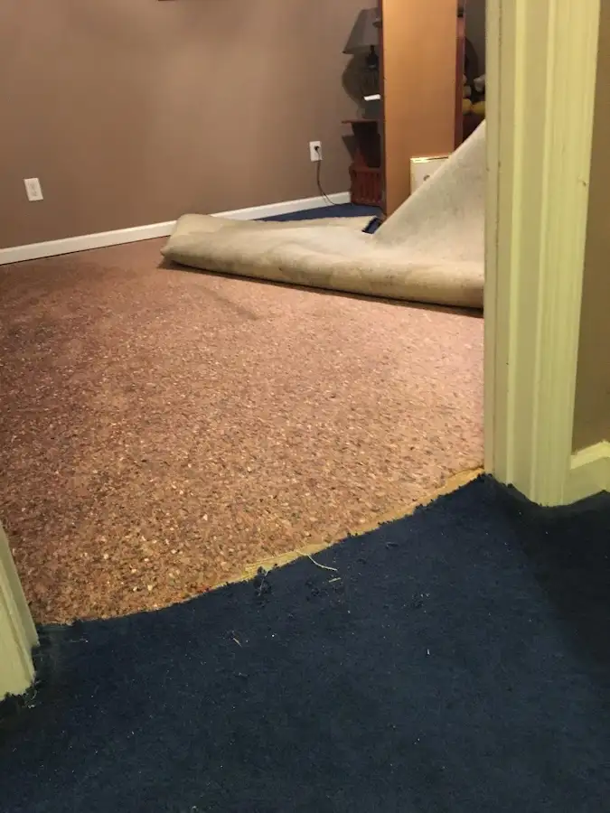 Carpet pad removal revealing water damage during Drying & Dehumidification in Buffalo