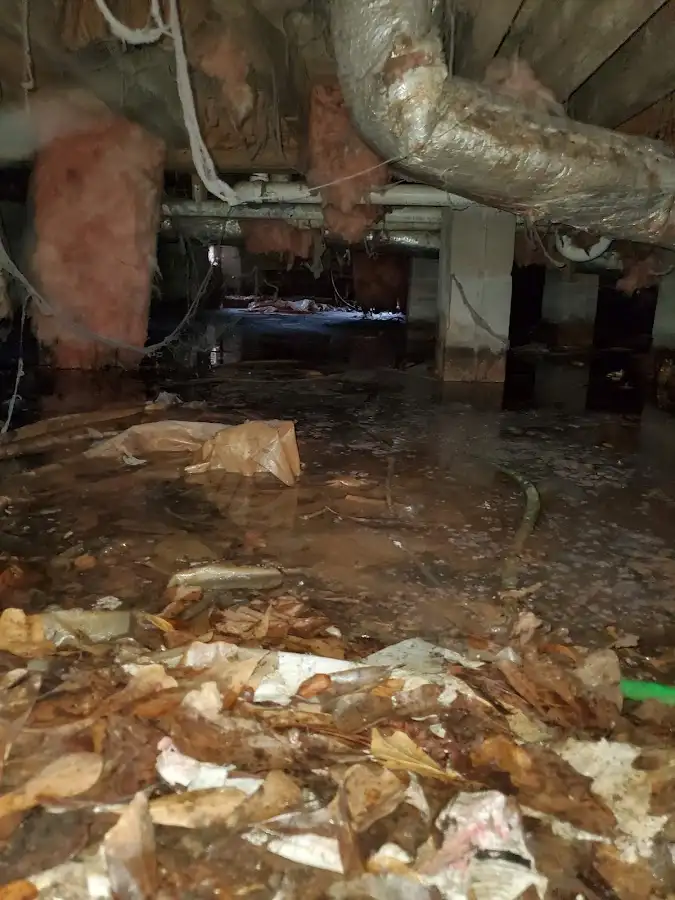 Crawl space flood assessment for Leak Detection & Repair in Buffalo
