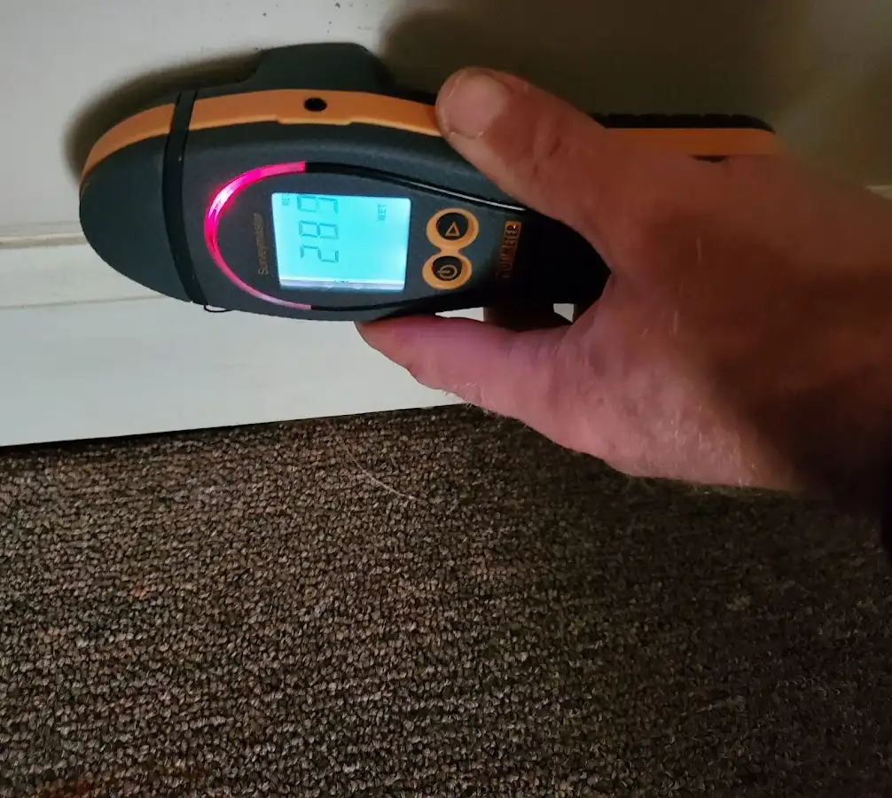 Moisture detection at baseboard during Sewage Cleanup & Sanitation in Buffalo